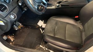 Interior auto detailing