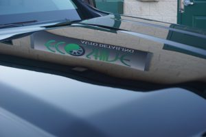 GMC detailing
