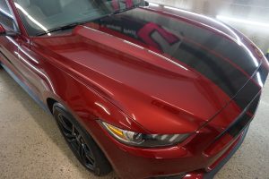 Mustang detailing