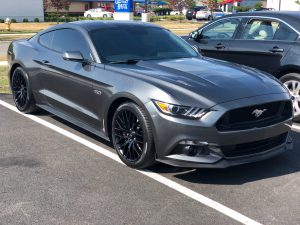 Mustang detailing services