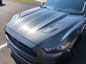 Detailed gray Ford Mustang hood with a glossy protected finish
