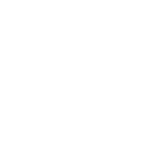 White daisy-like flower icon with eight petals on a black background